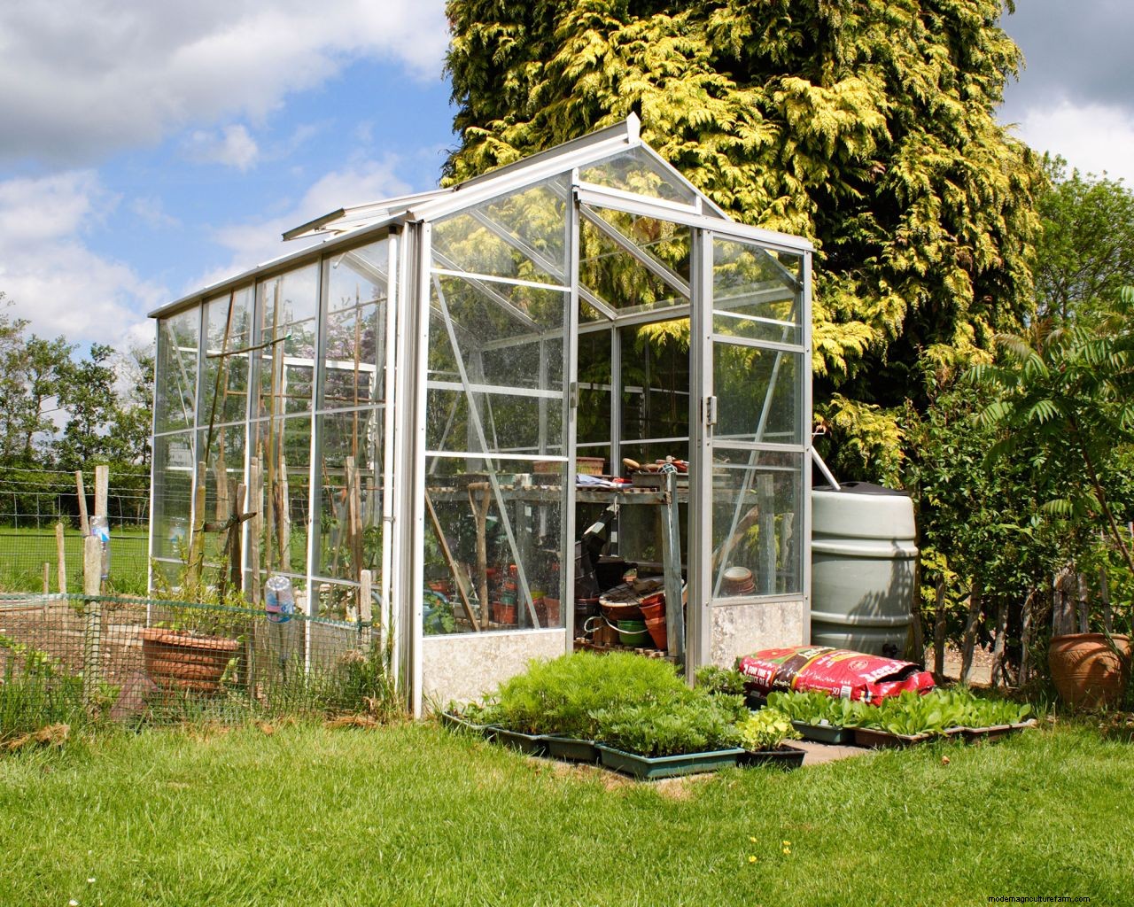 How to use a greenhouse to grow plants, fruit and vegetables
