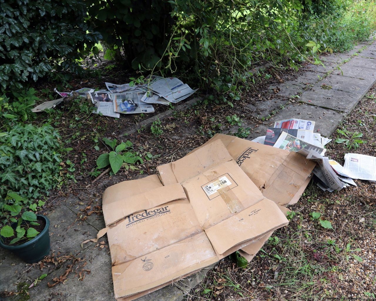 Killing grass in flower beds: 5 methods for success