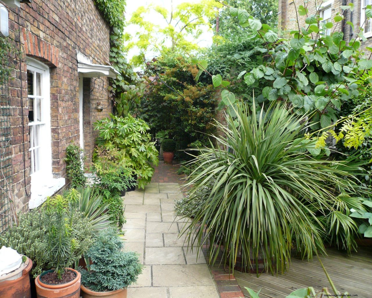 Learn the dos and donts of designing a path for your space