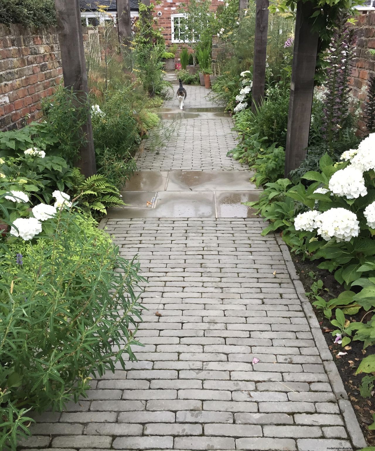 Learn the dos and donts of designing a path for your space