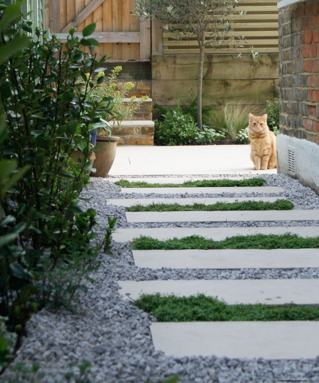 Learn the dos and donts of designing a path for your space