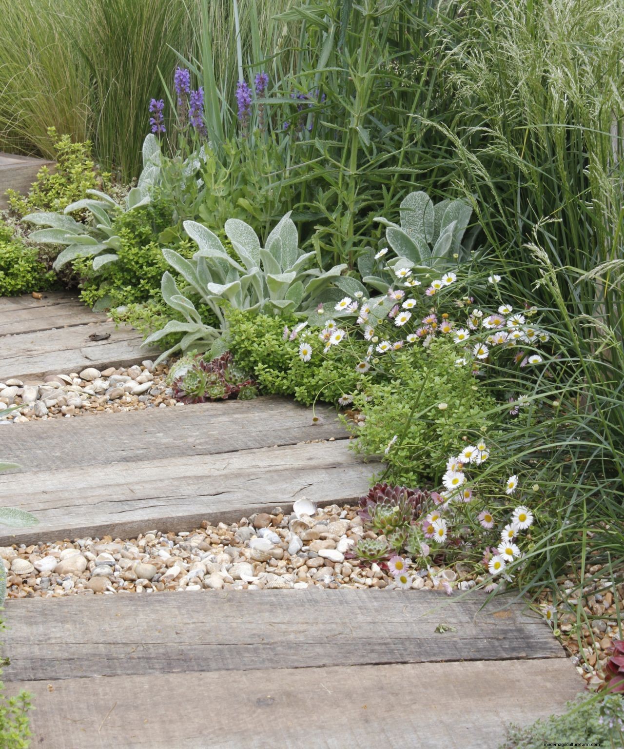 Learn the dos and donts of designing a path for your space
