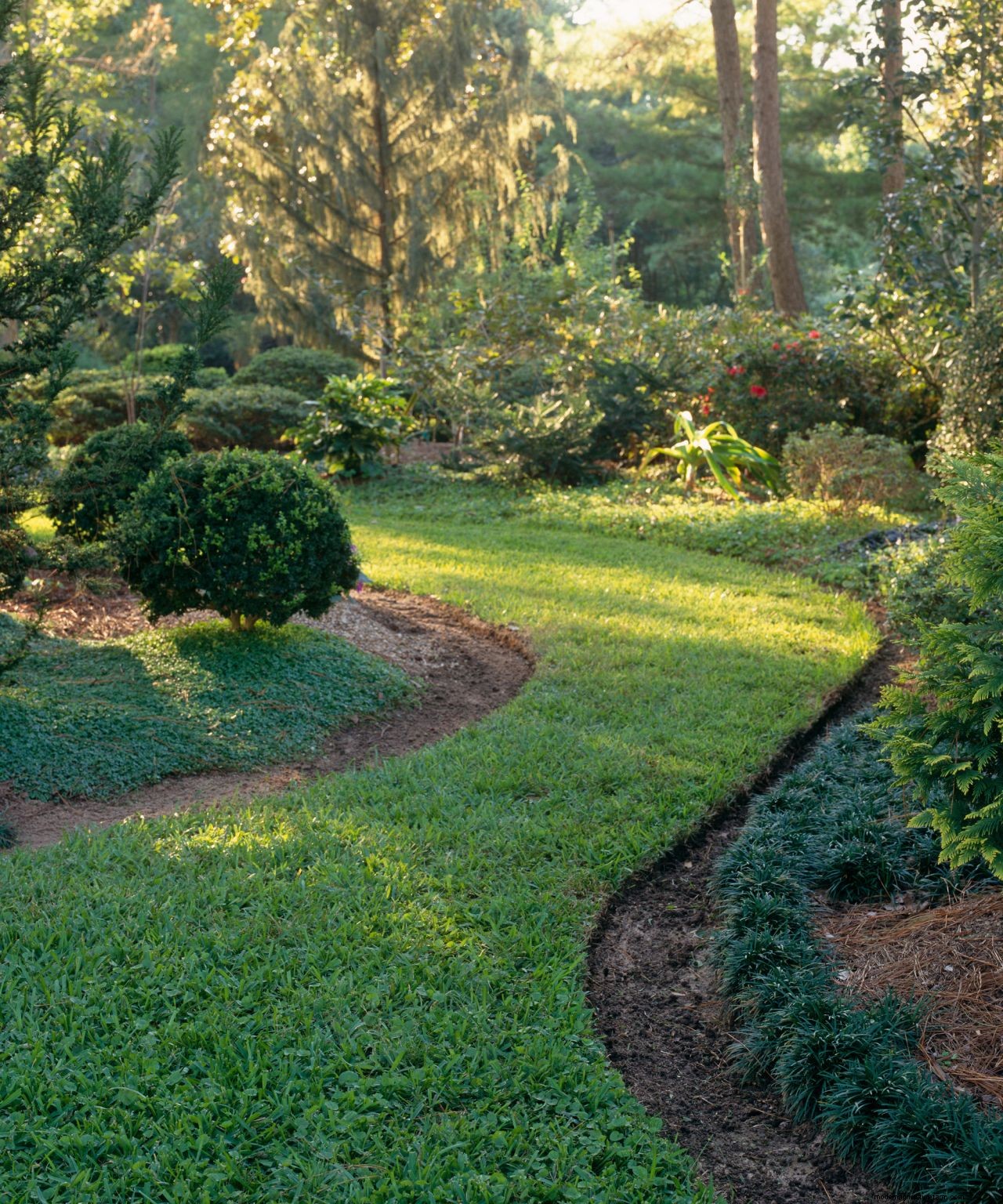 Learn the dos and donts of designing a path for your space