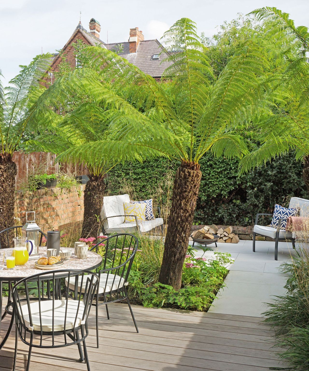 The dos and donts of choosing a tree for your garden: how to make the right choice