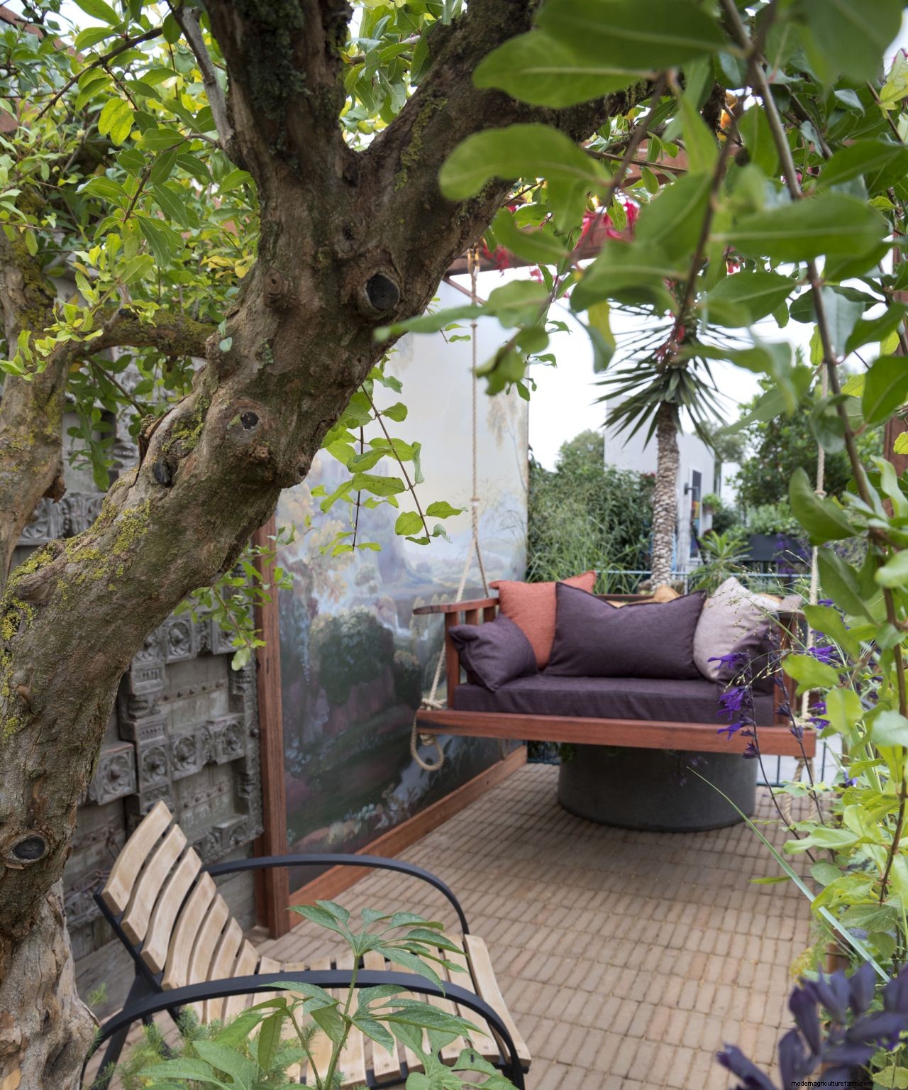 The dos and donts of choosing a tree for your garden: how to make the right choice