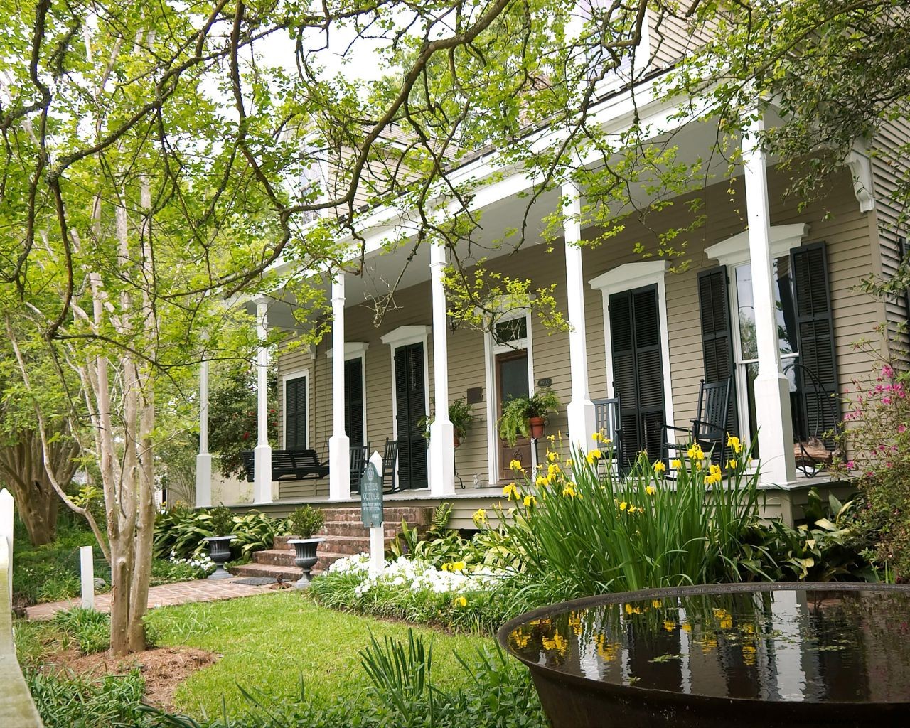 The dos and donts of choosing a tree for your garden: how to make the right choice