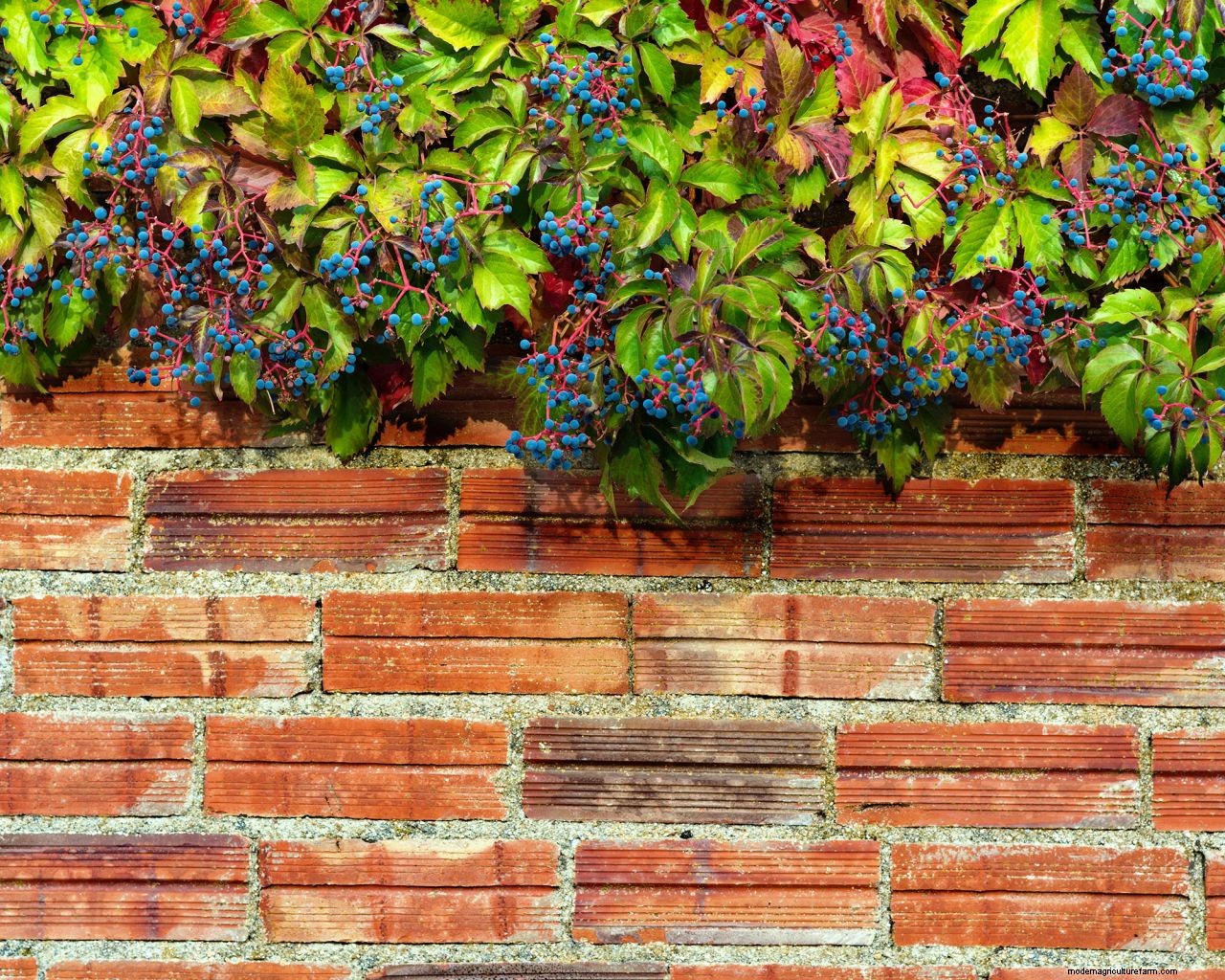 How to build a garden wall: advice for timber, brick, and retaining styles, plus more