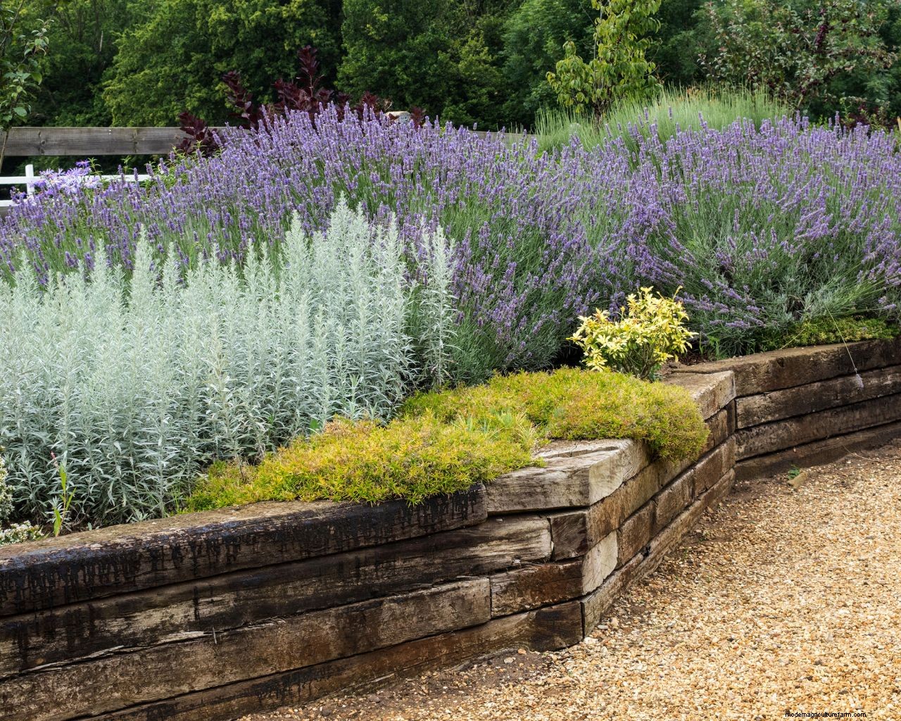 How to build a garden wall: advice for timber, brick, and retaining styles, plus more