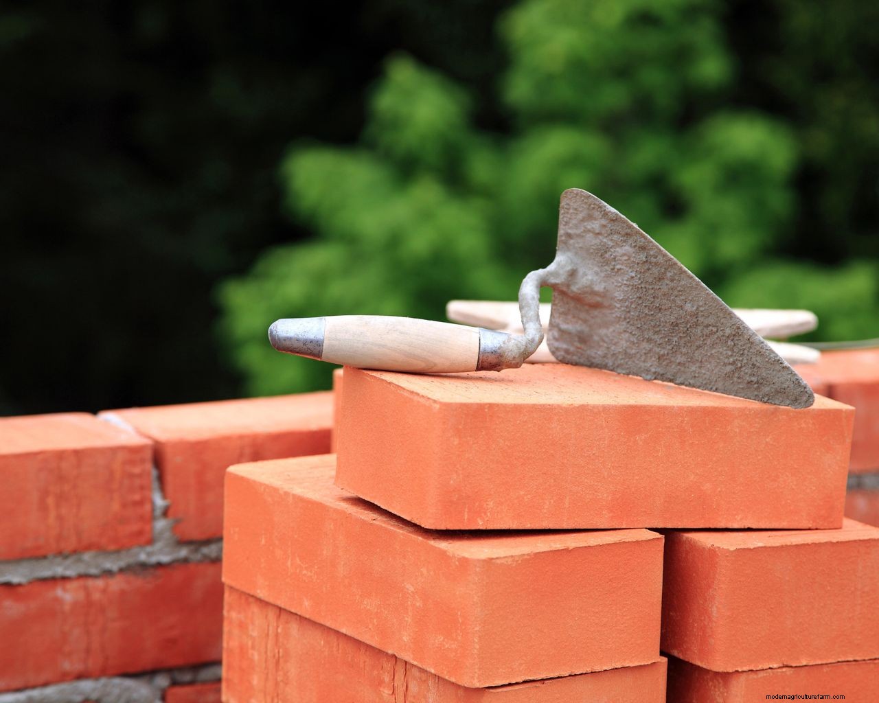 How to build a garden wall: advice for timber, brick, and retaining styles, plus more