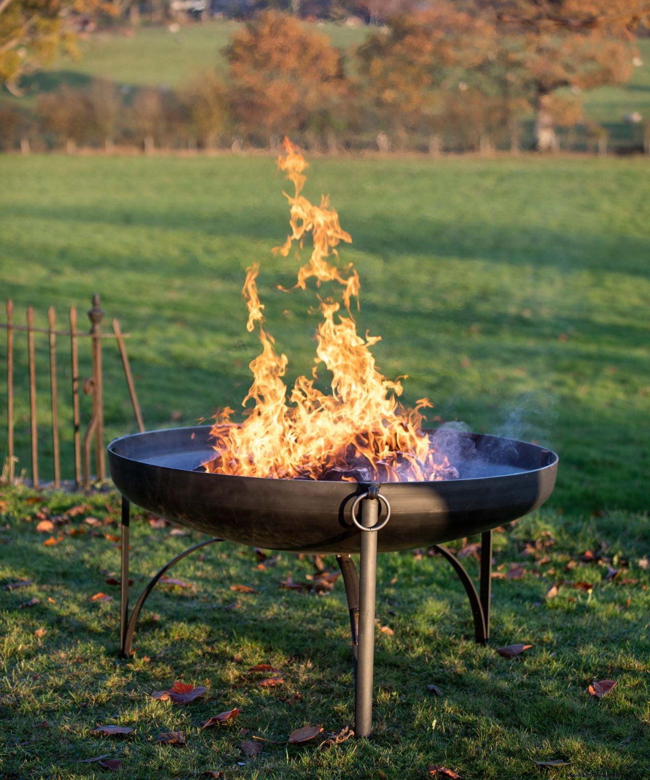 What to do with a Christmas tree after Christmas: 9 clever uses for your tree