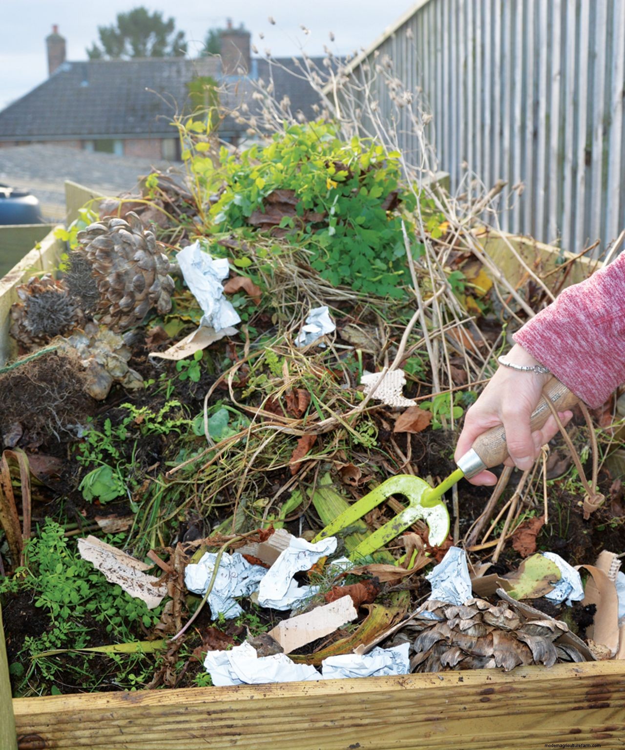 What to do with a Christmas tree after Christmas: 9 clever uses for your tree