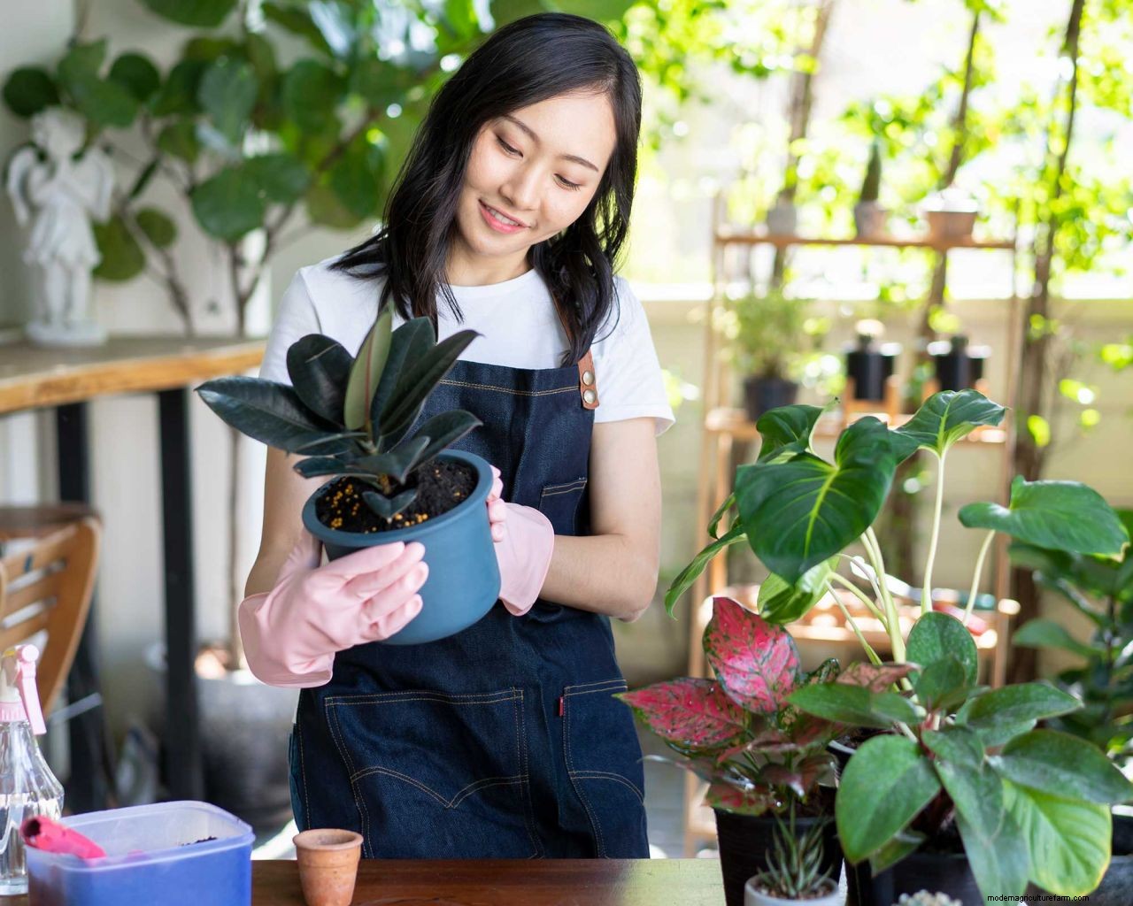 How to get rid of thrips: tips to prevent these houseplant, greenhouse and garden pests