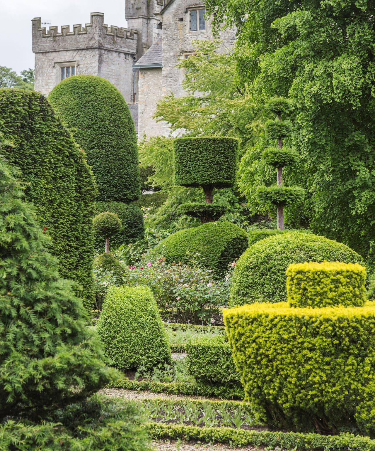 Topiary: a practical guide to this must-have garden trend