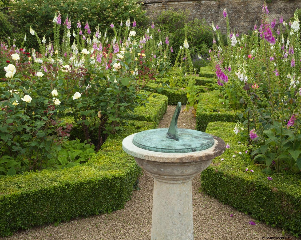 Topiary: a practical guide to this must-have garden trend