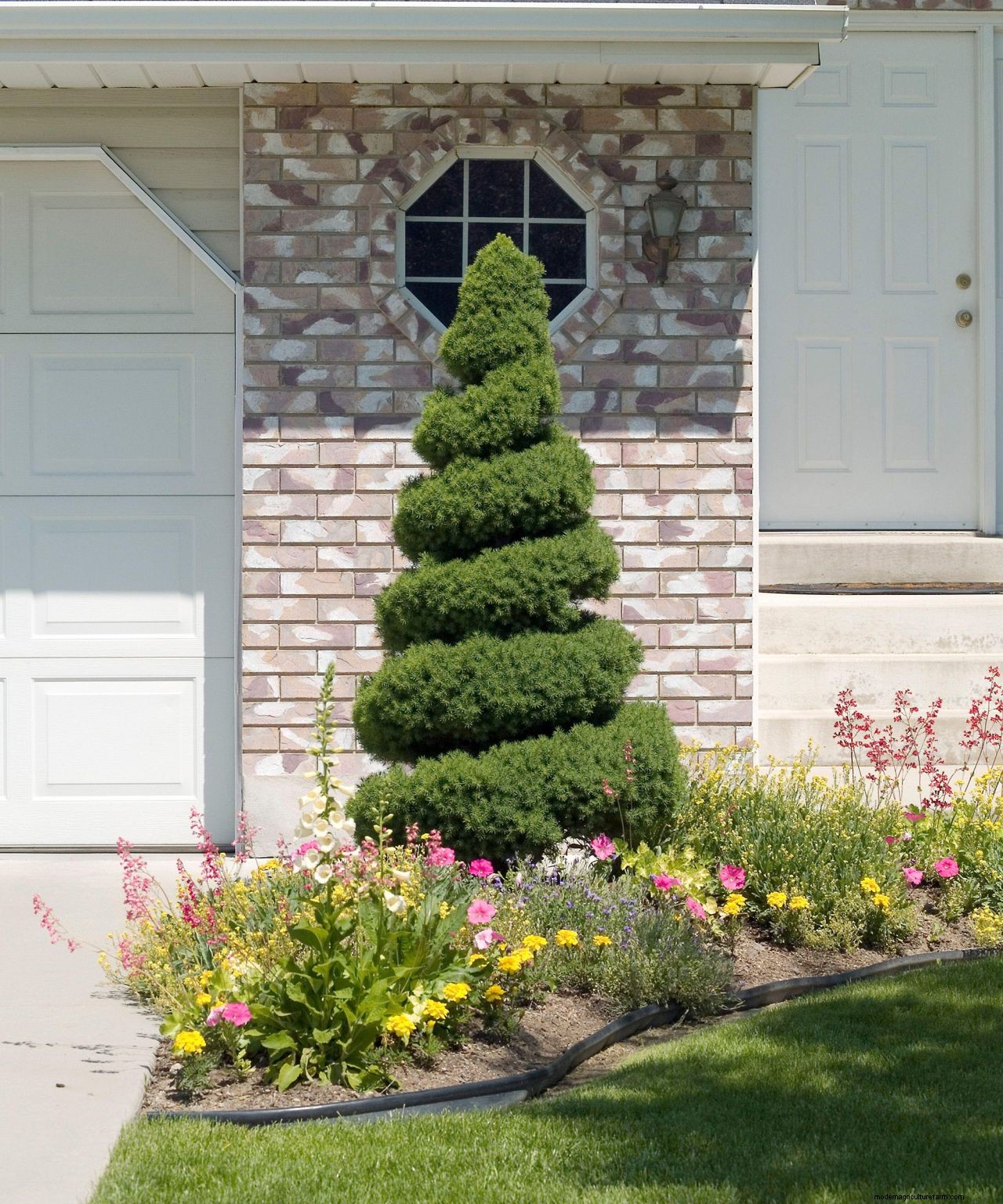 Topiary: a practical guide to this must-have garden trend