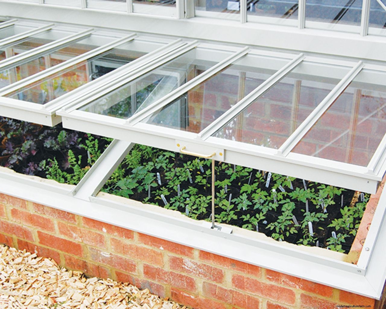 Hardening off plants: how, when and why to do it