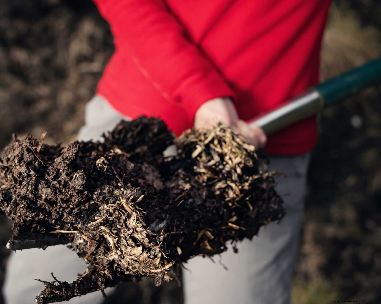How to make fertilizer and fertilize plants for free: 6 simple and cheap methods