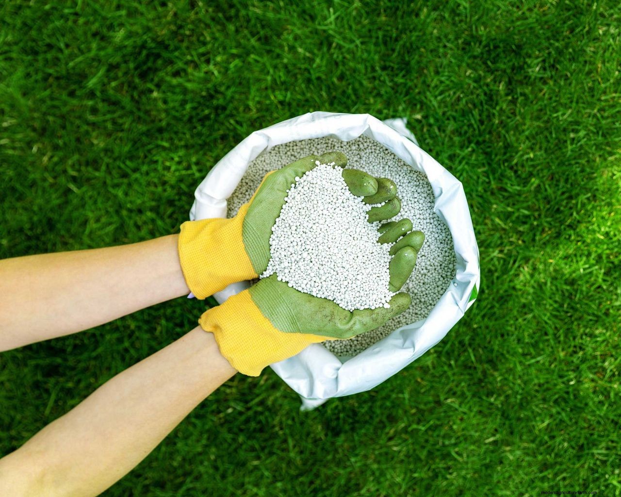 Lawn care tips: 12 essential tasks for healthy turf