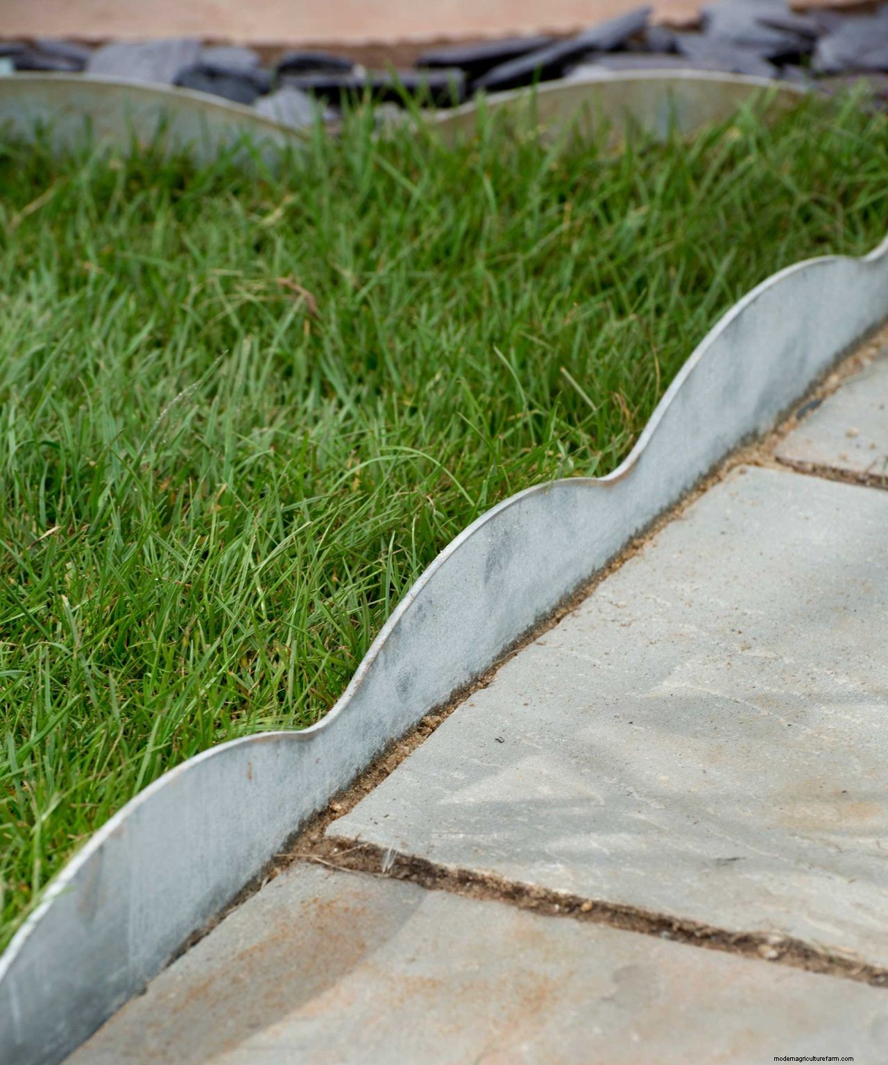 Lawn care tips: 12 essential tasks for healthy turf