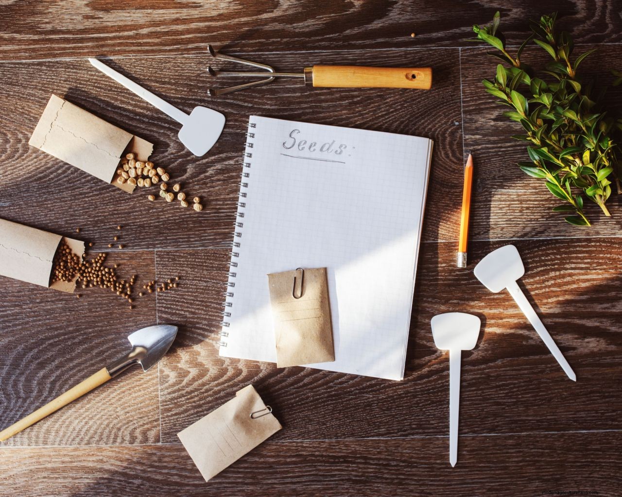 How to get free plants: 10 ways to increase your plant collection