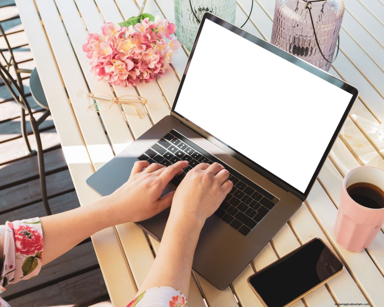 How to get free plants: 10 ways to increase your plant collection