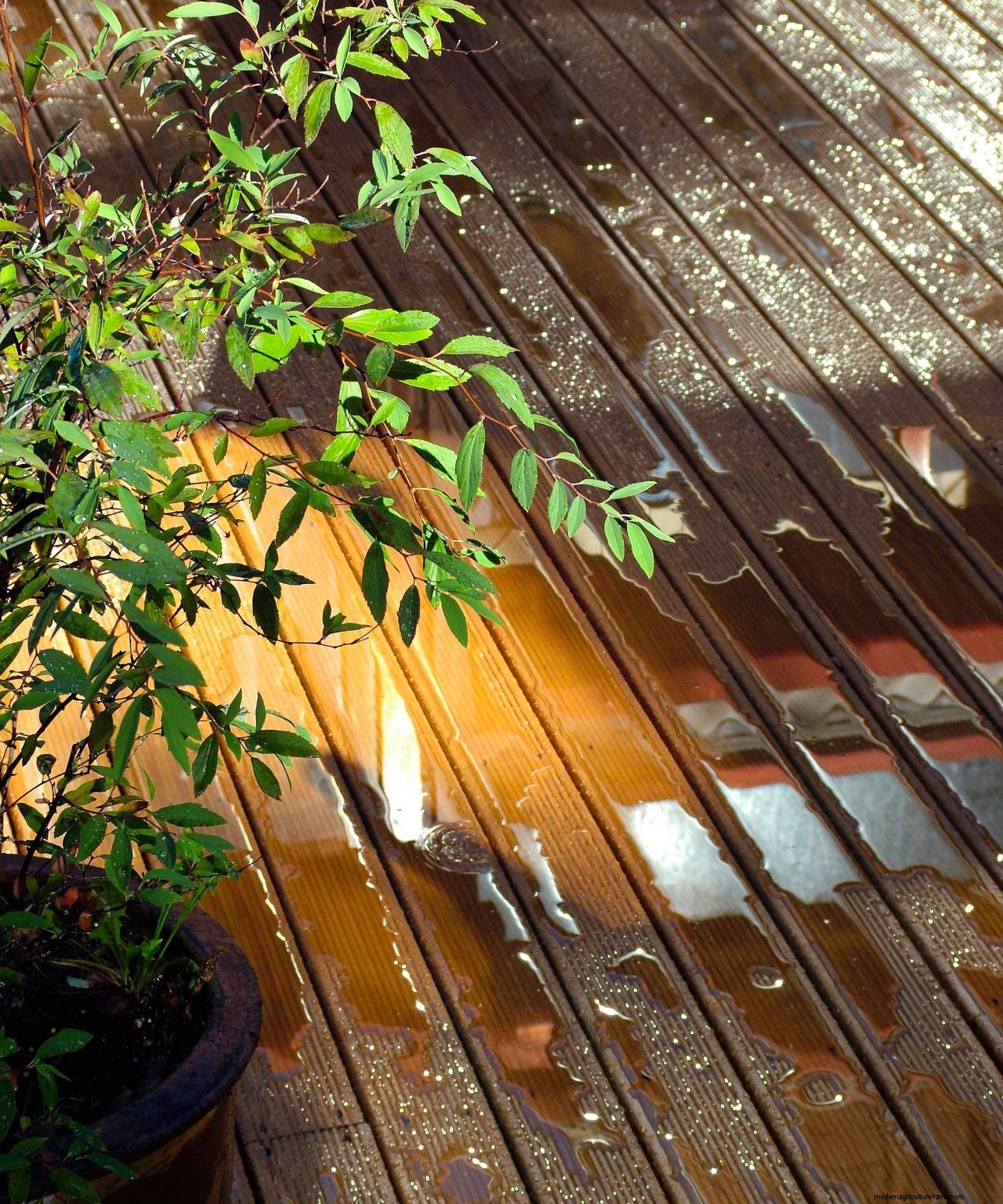 Garden drainage solutions: 5 ways to stop your flower beds, decking, patio, and lawn from flooding