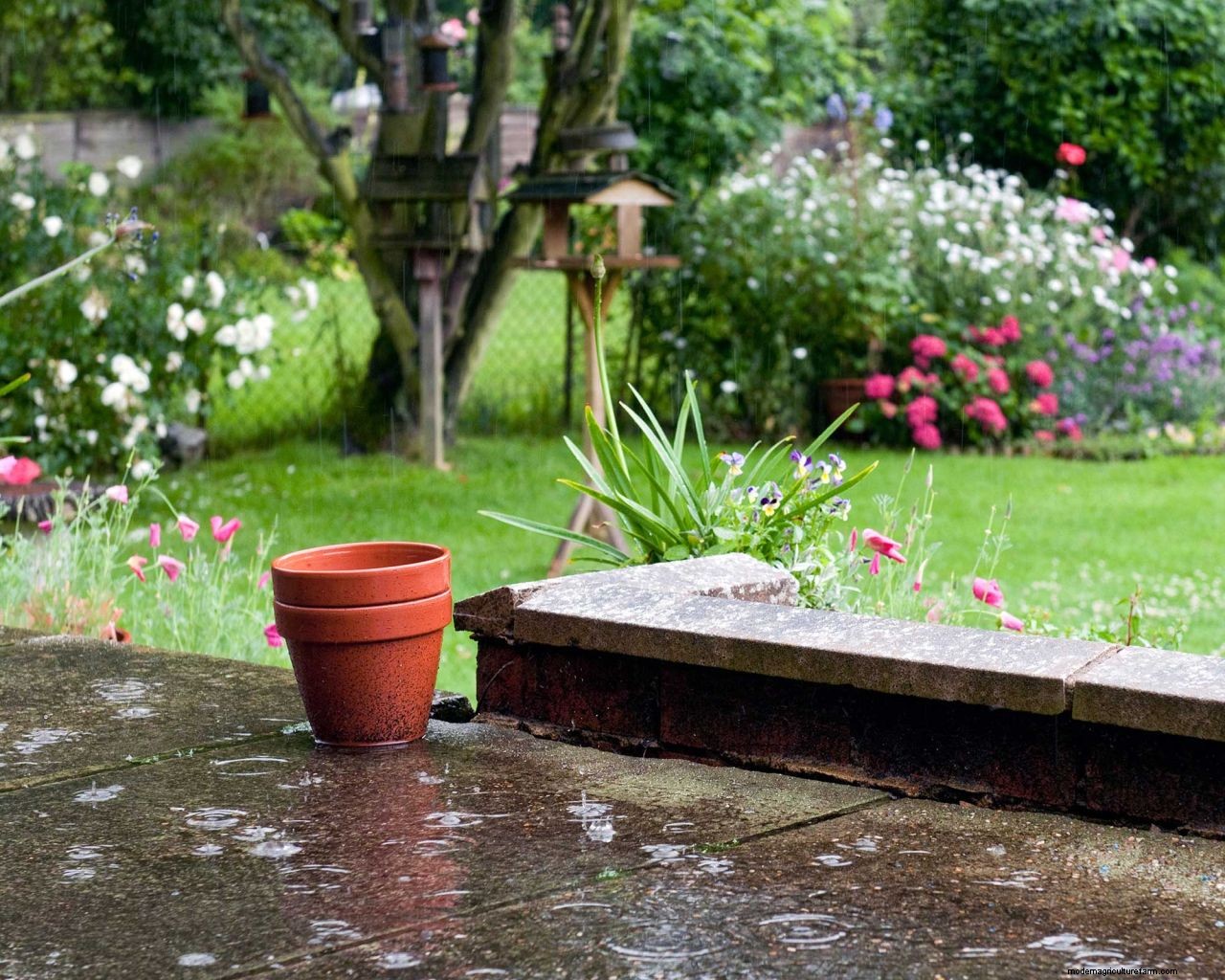 Garden drainage solutions: 5 ways to stop your flower beds, decking, patio, and lawn from flooding