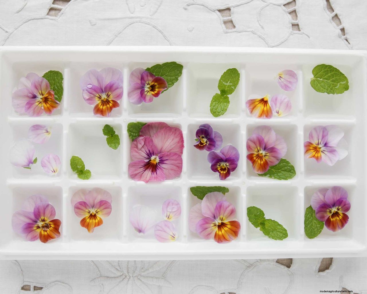How to use edible flowers: top tips for picking, preparing, and cooking with beautiful blooms