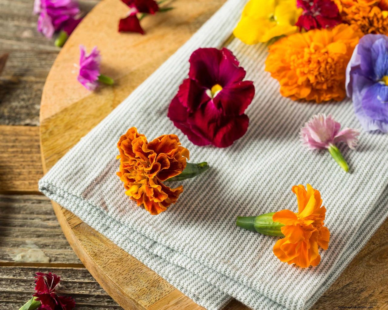 How to use edible flowers: top tips for picking, preparing, and cooking with beautiful blooms