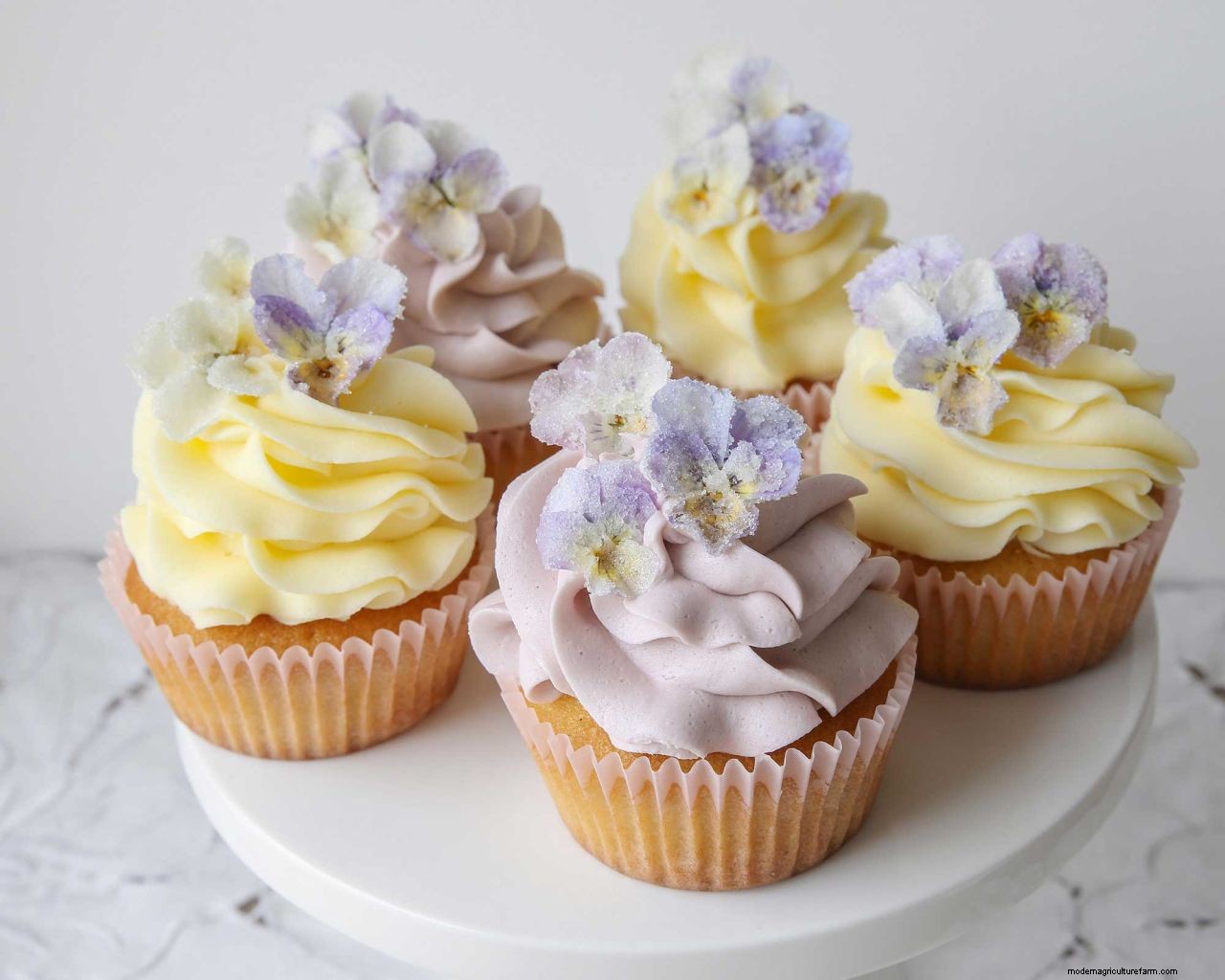 How to use edible flowers: top tips for picking, preparing, and cooking with beautiful blooms