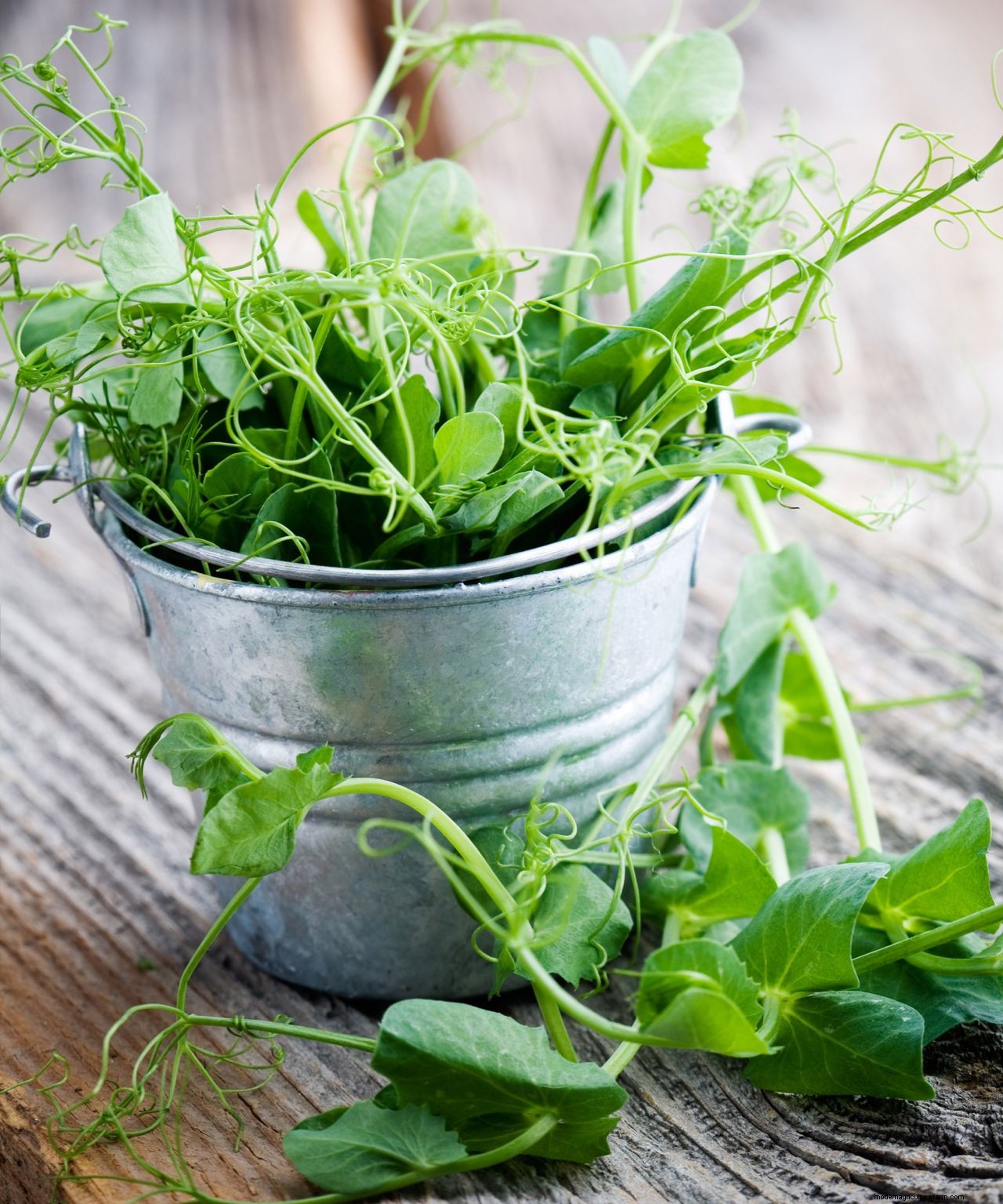 How to grow peas: expert sowing, planting and care tips