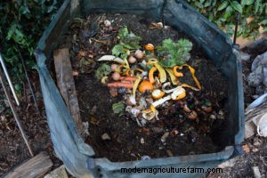 Chickens and Composting: Stirring It Up