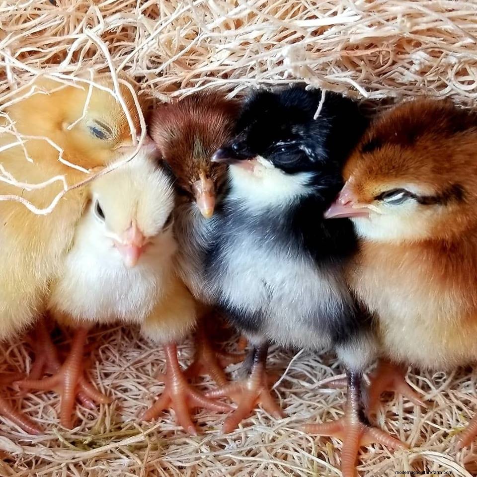 March Photo Contest Winners