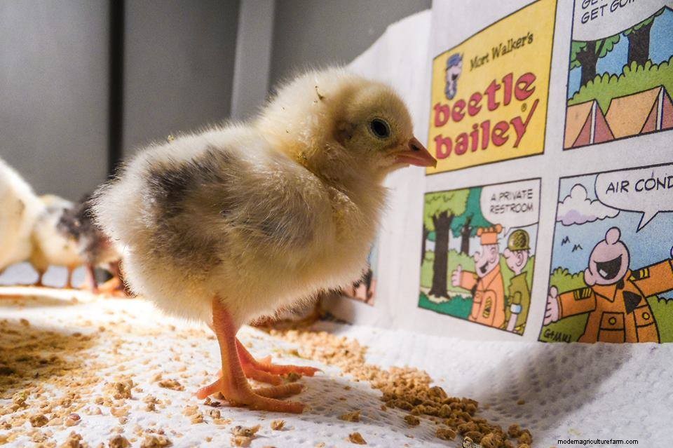 March Photo Contest Winners