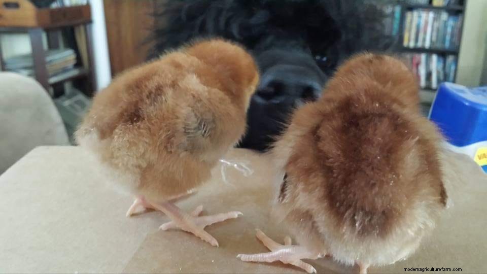 March Photo Contest Winners