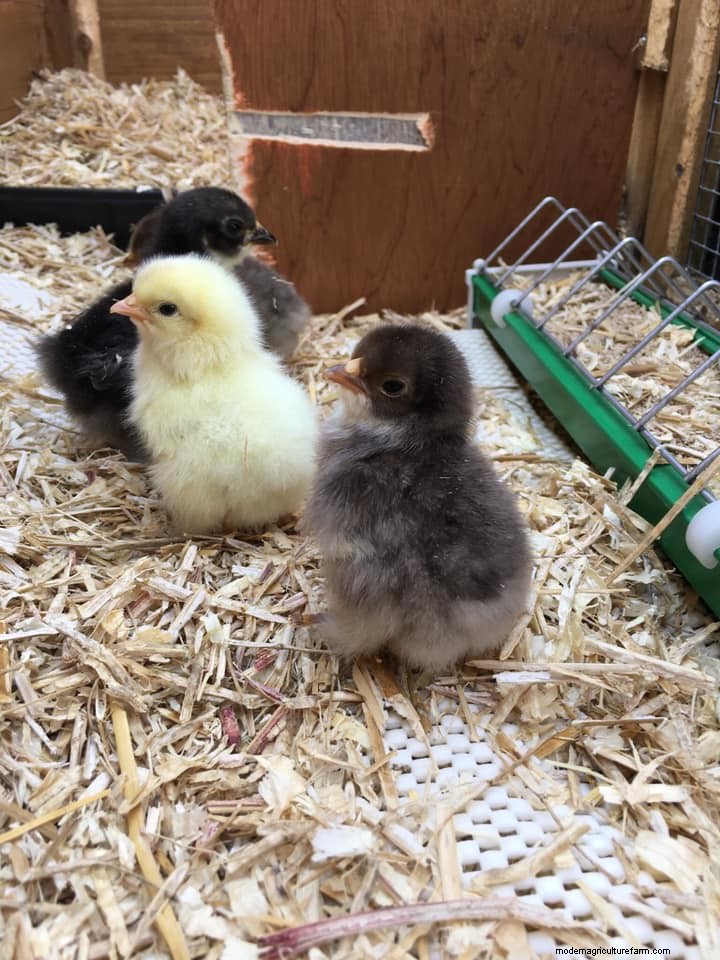 March Photo Contest Winners