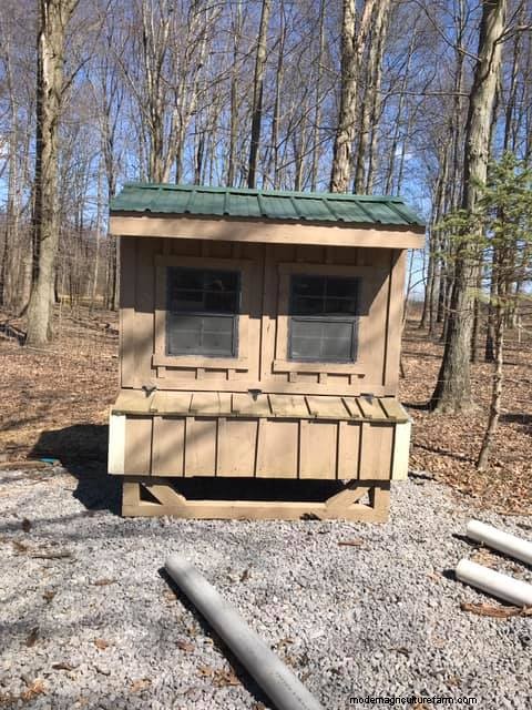 Rodents and Your Coop