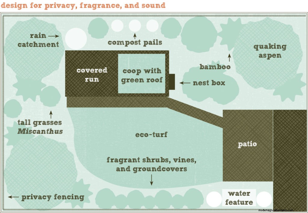 Designing a Chicken-Friendly Garden