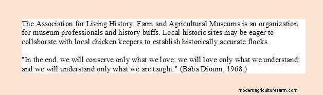 Chickens and Heritage Sites