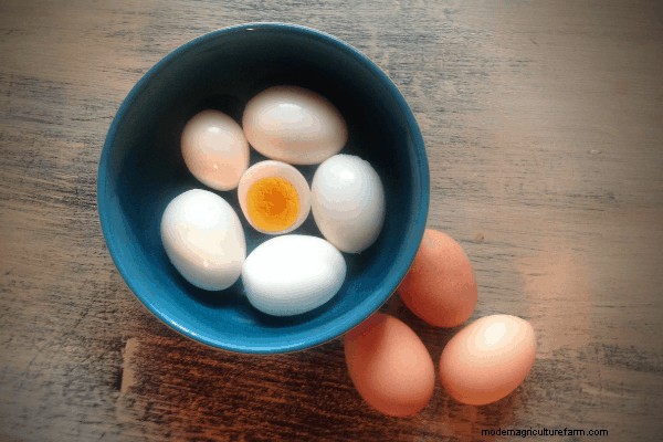 De-myth-tifying Eggs