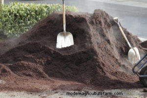 Hot Poop and Outdoor Plumbing