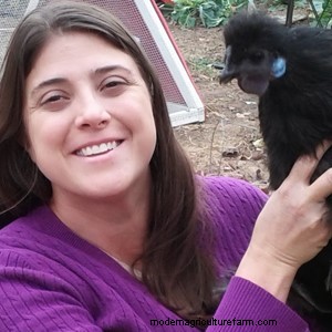 Keeping Urban Chickens Podcast