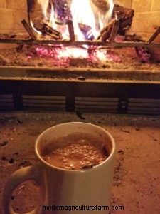 Winter Self Care for the Chicken Keeper