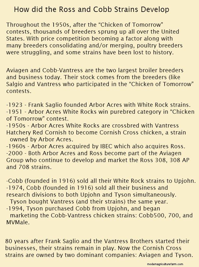 Breeding the Chicken of Tomorrow