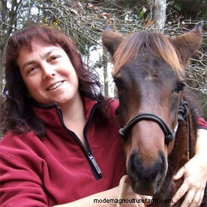 Cold Weather Chickens