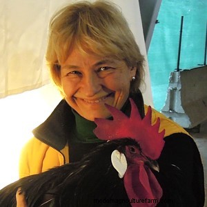 Keeping Chickens in School