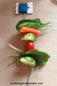 How to Make a Festive Chicken Treat Garland!