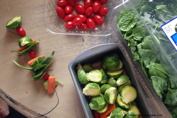 How to Make a Festive Chicken Treat Garland!