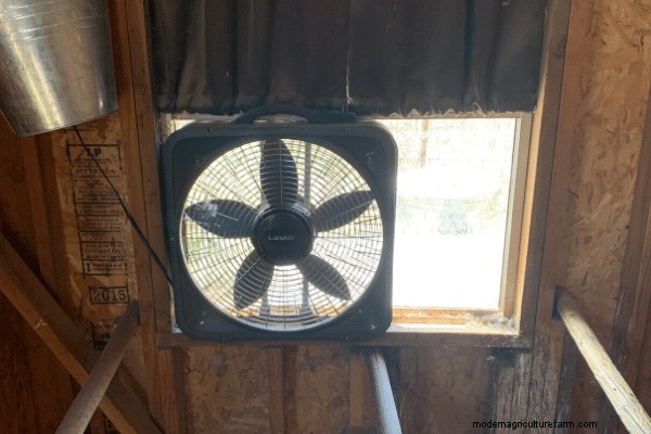 5 Ways to Cool your Chicken Coop this Summer