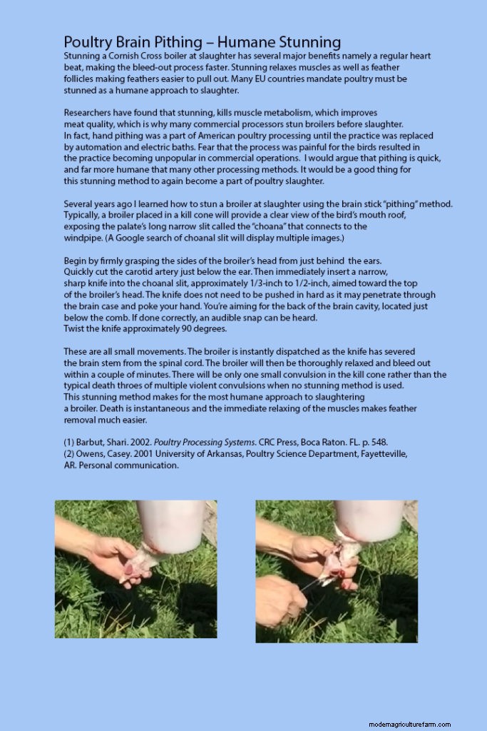 Small-Flock Cornish Cross Processing Made Easy